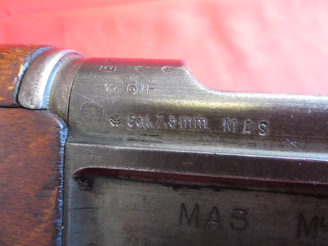 IMG-3557