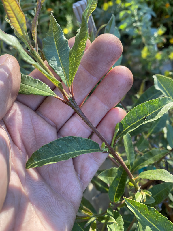 78E2F3C0-4490-48F4-9D07-1390F00D5907