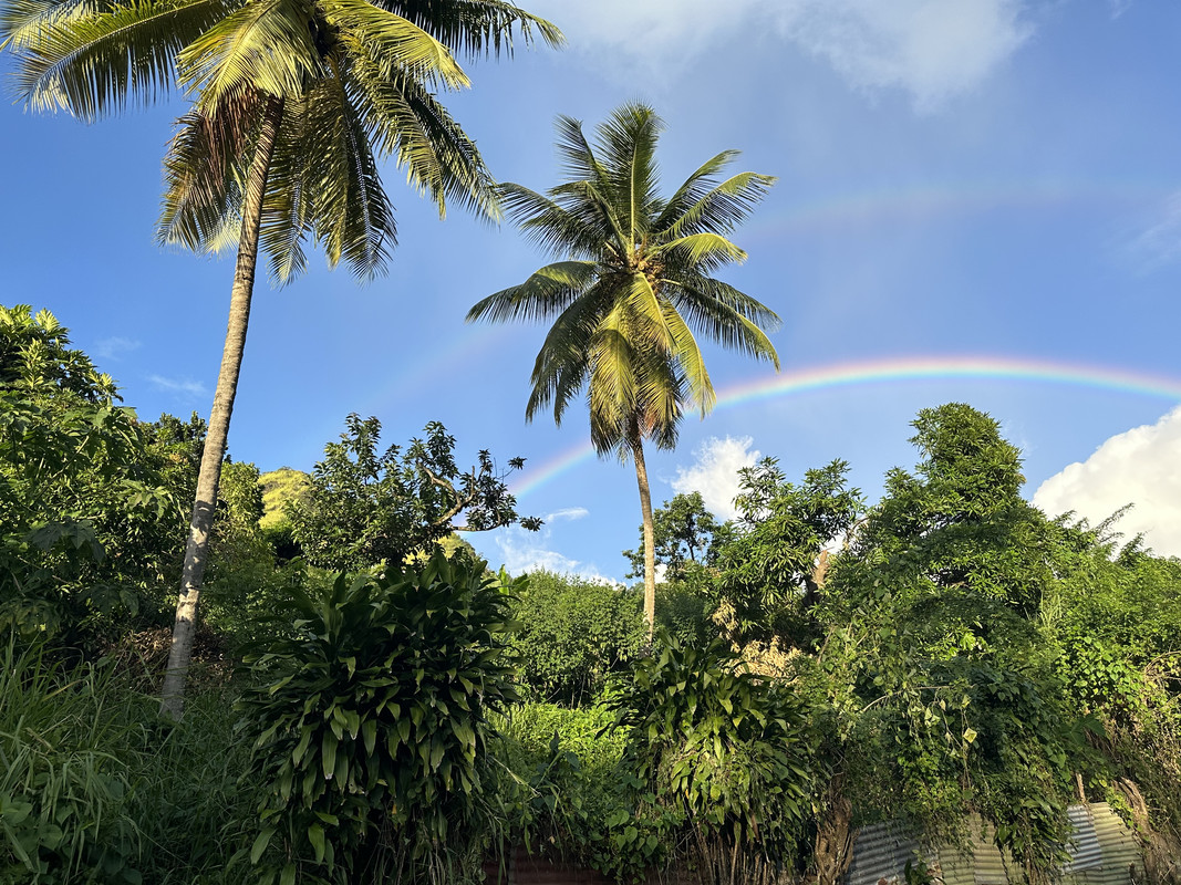 AA5F5C9E-86EB-433A-B0EB-A74EF8E6B452