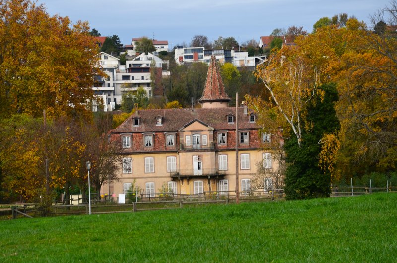 OBERNAI-15-11-2022 - Francia y sus pueblos-2016/2022 (76)