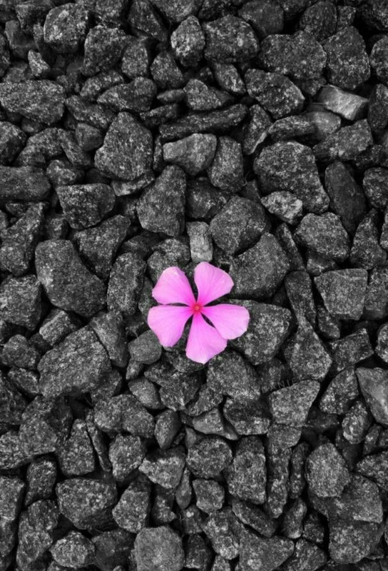 Screenshot_20230422_232955_Pinterest