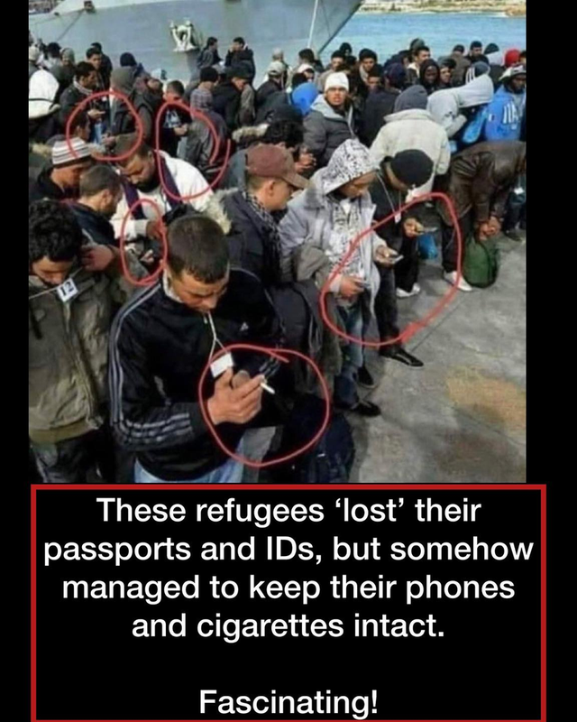 Screenshot 2026 05 04 at 10 09 41 Meme Political Page 1342 Yellow Bullet Forums