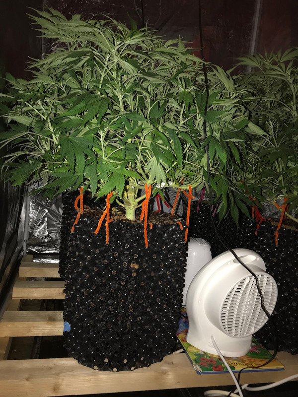 B450234B-45D8-44AD-AF38-6F17AE9A9873