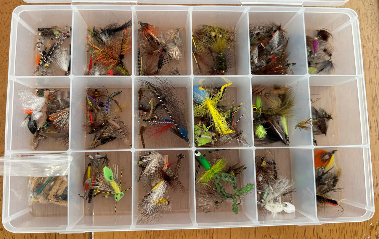 flies-2.jpg