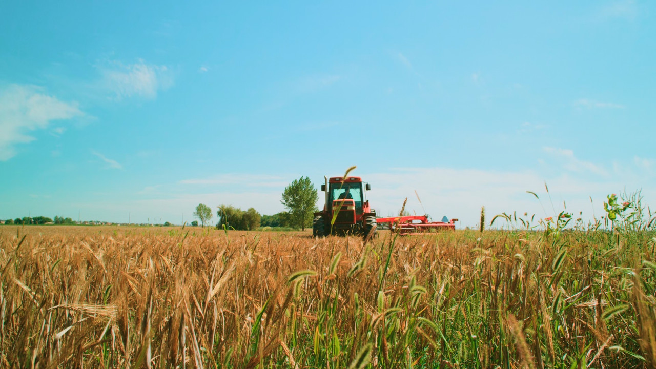 Flight of the Butterflies 2012.mkv_snapshot_10.01_[2018.01.14_06