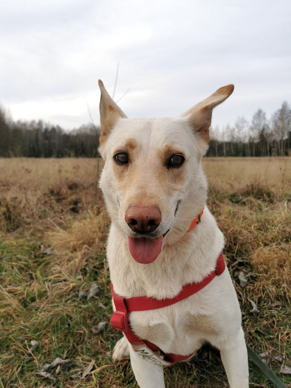 photo_2022-11-09_22-25-20 (2)