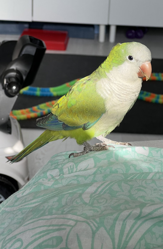 FBDEDA0F-C4D0-47A0-AB11-D196612C4AAC