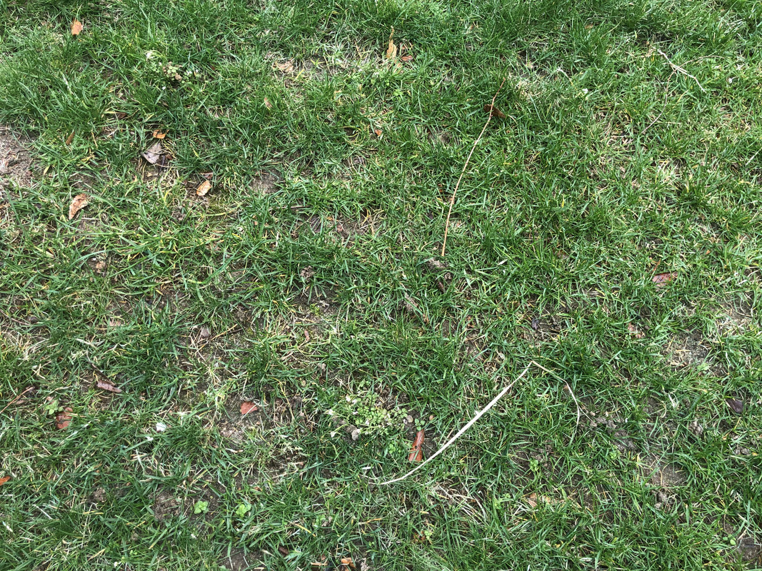 2744042C-68D3-45C9-9054-25B4BB59BE3D