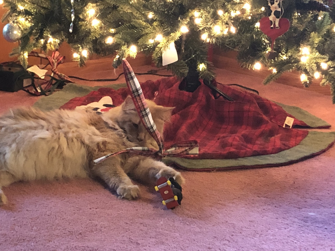 4180C000-D35B-4442-84E1-9E1B26C1D461