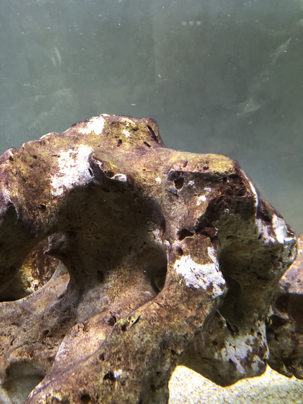 73432801-D73F-4D5B-898C-ED391F6866B8