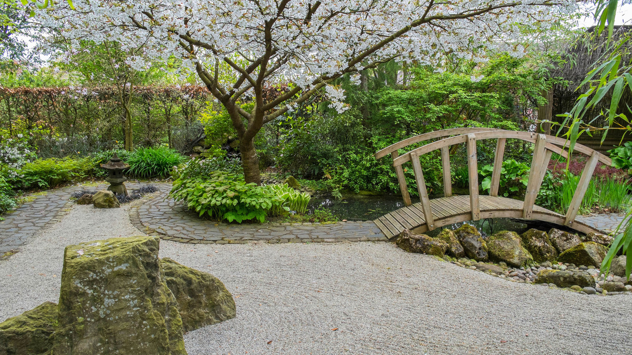 DIY Zen Cultivate: Step-by-Step Guide