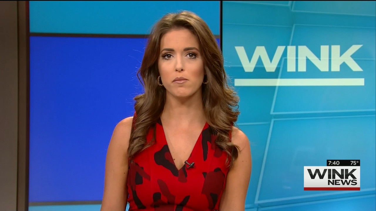 10.25 - 10.00.00 - WINK News @ 6 00AM Sunday..ts_snapshot_41.16.229