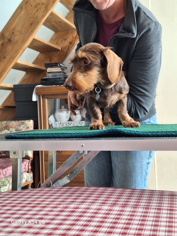 [Image: 20240702-164051.jpg]