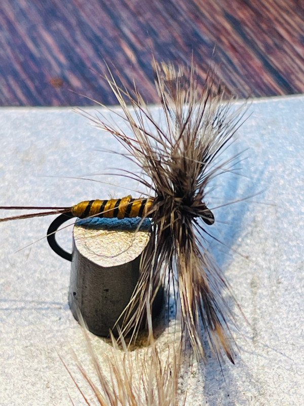 CE49E3D8-3A07-4977-877F-0CD79F67A389