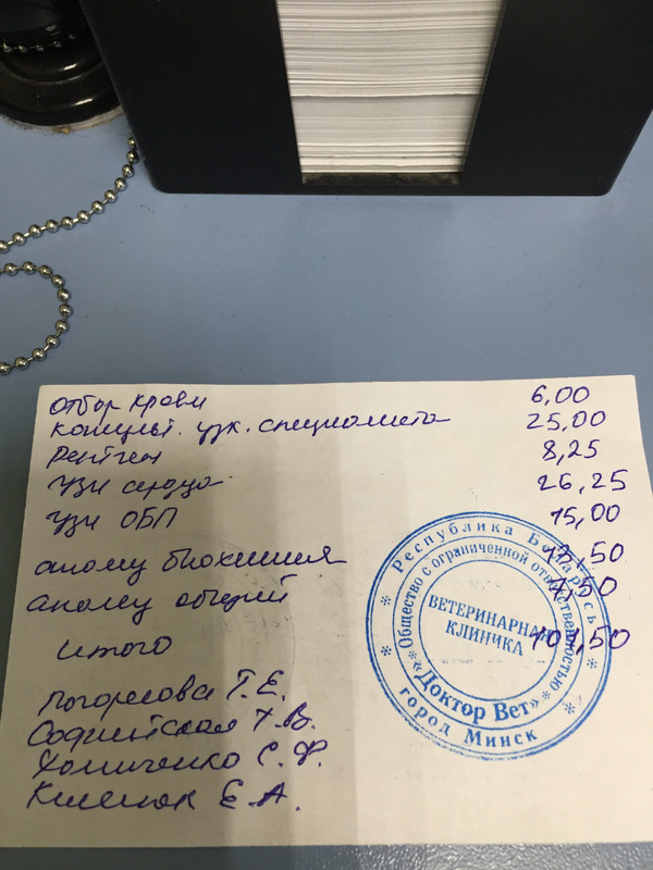 E5F43EA7-49A0-4E9E-B94C-EDDFADAF0CBA