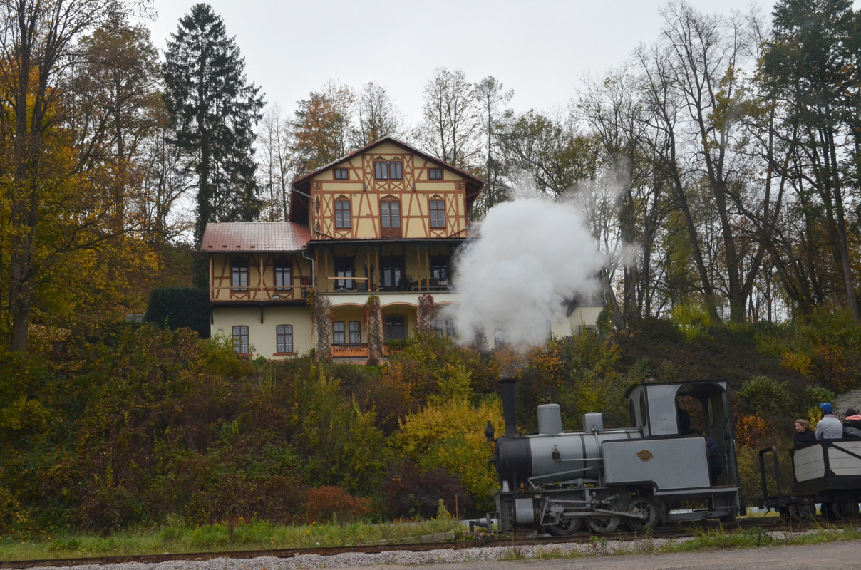 Žamberecký divočák 2019 523