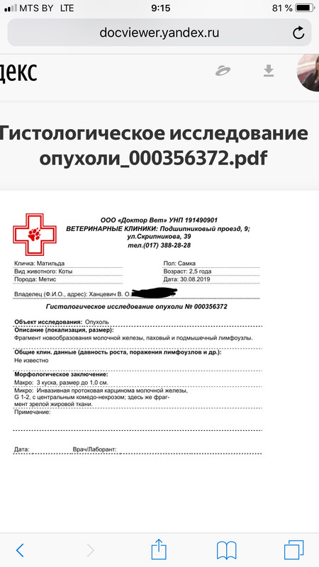 A3093391-F7AE-47AD-9560-E06ADBFFA385