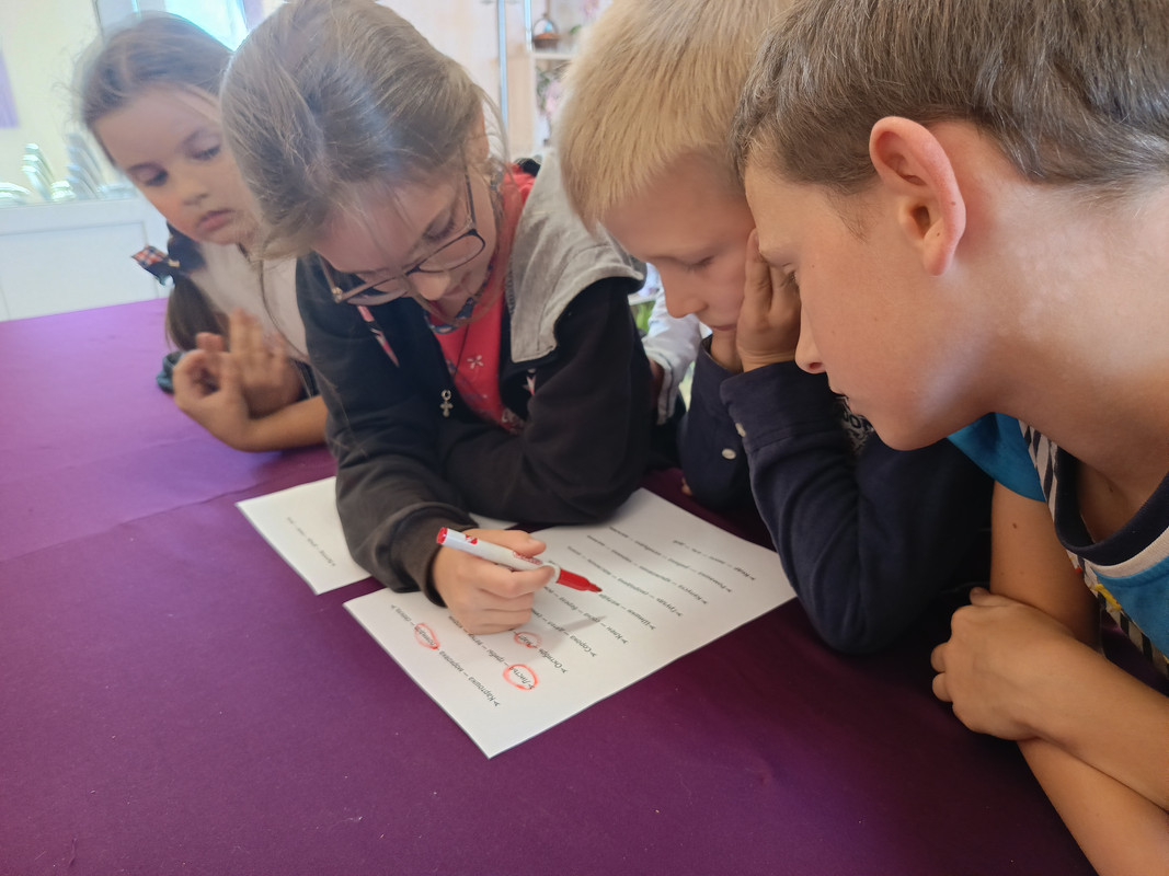 IMG_20250911_131903_701