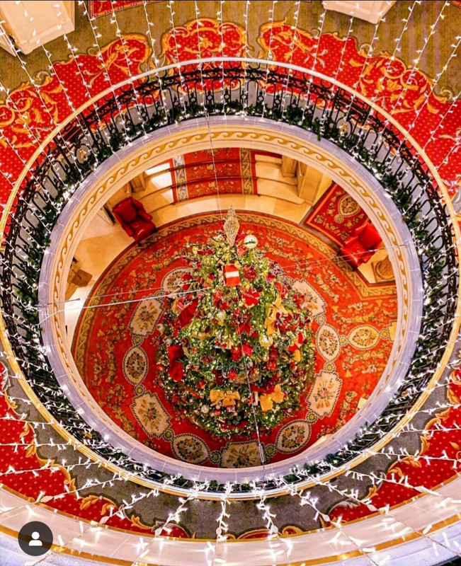 Screenshot_20231115_225422_Instagram