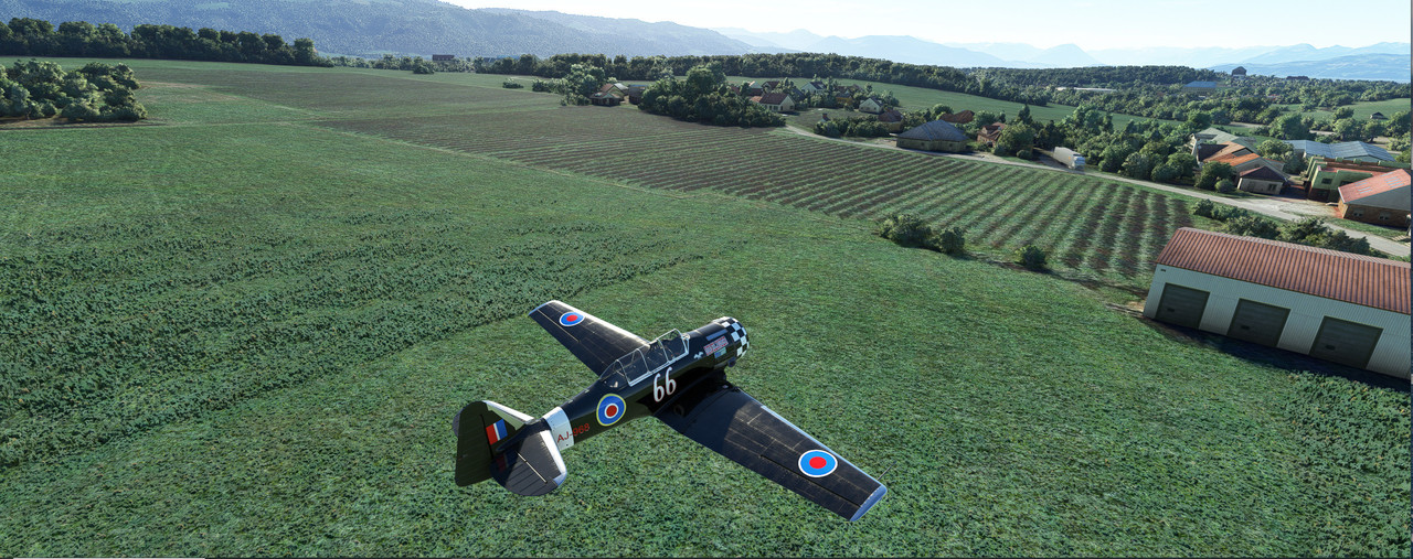 T-6-11.jpg