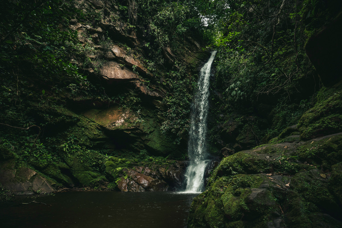 
							Amazon Wet Season