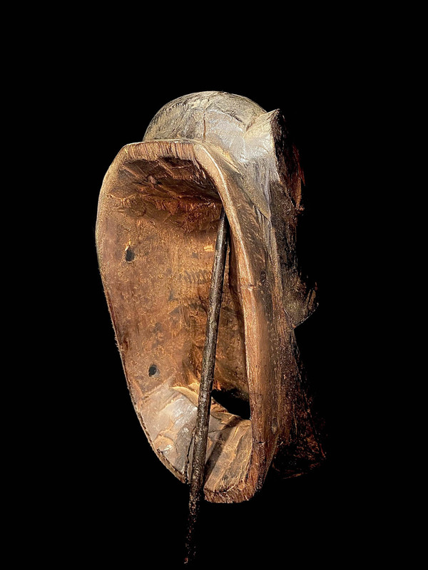 large image 12