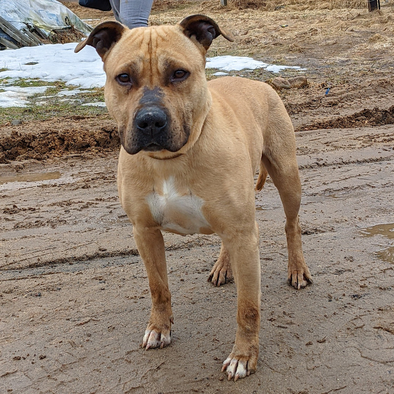 B2DFD28A-7768-40AD-A851-A0E670EEC935