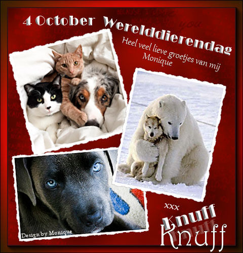 XXXBest-werelddierendag.jpg