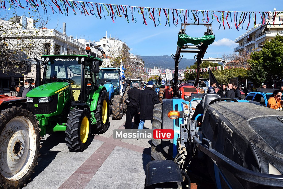 agrotes-DSC-0891