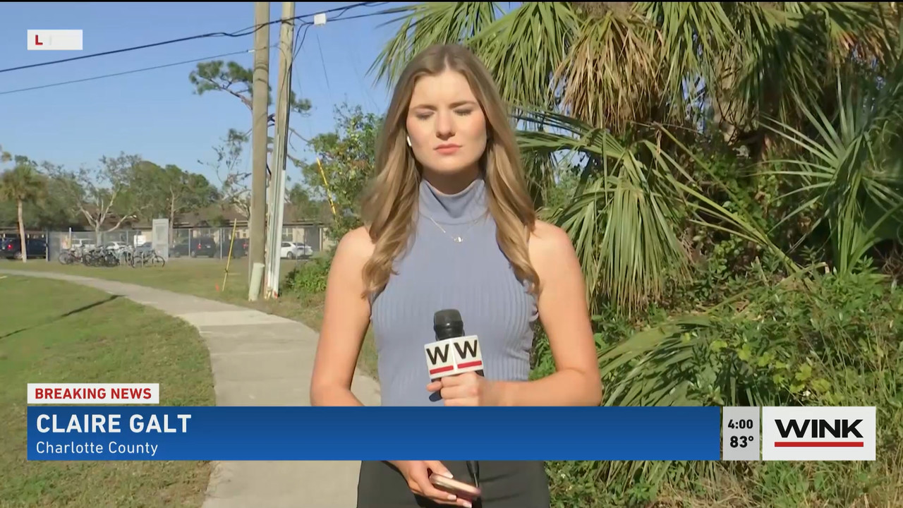 02.01 - 20.00.00 - WINK News at 3pm  ᴺᵉʷ..ts_snapshot_01.06.53.792