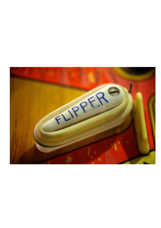 Flipper.jpg