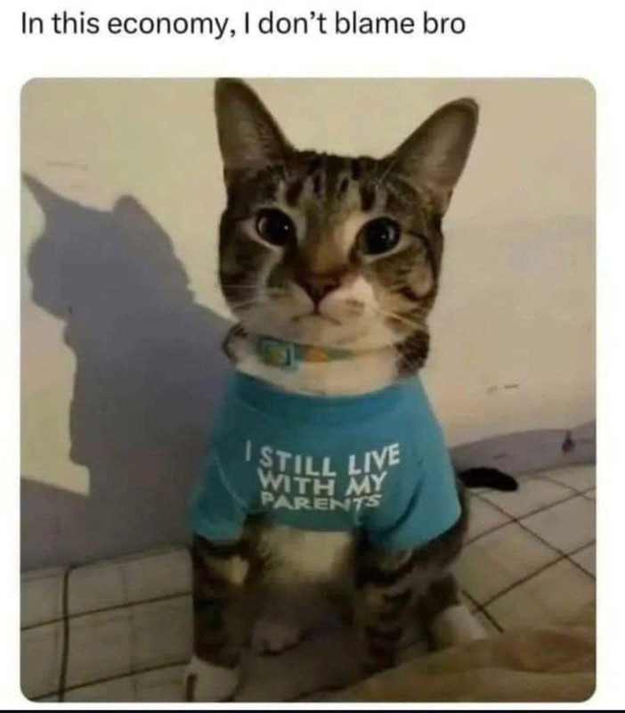 Catlivewithparents3089.jpg