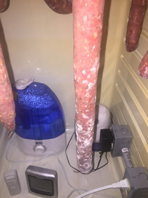 98E77BB2-E6BA-4DEF-A5F8-65DEC3B2F1D8