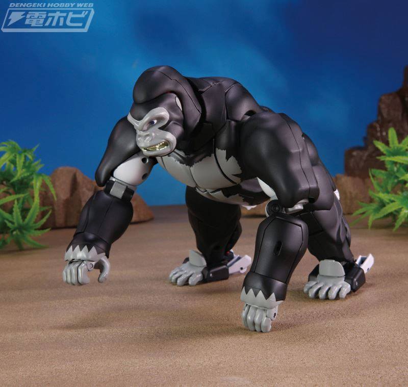 15976932_1222957954457278_3119234496194186315_n