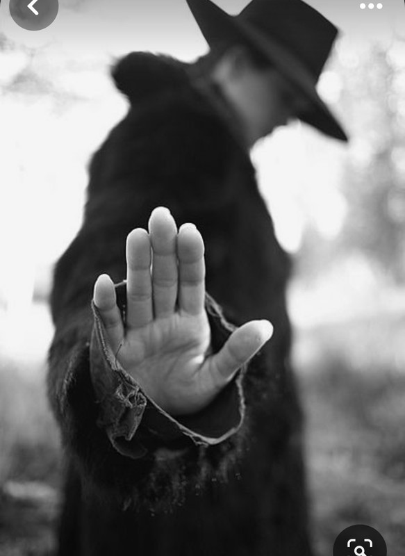 Screenshot_20230908_223402_Pinterest