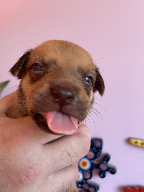 5E01080A-862B-4C44-B5E6-21883DF07310