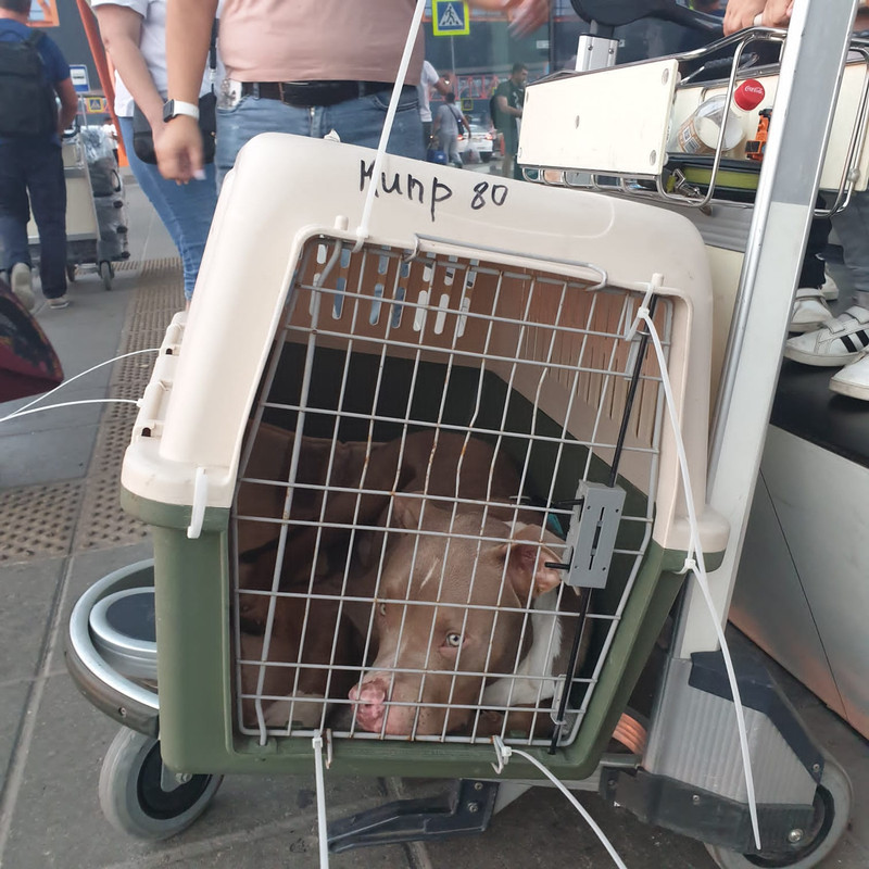 323EB1C7-BD33-4890-BB35-AD7E81EFBF6D