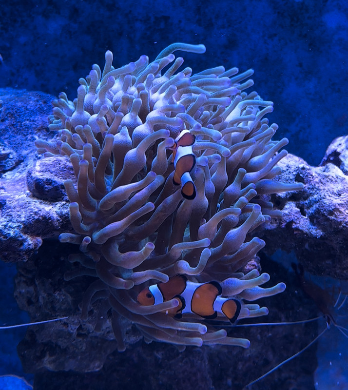 BC9D9D7F-8E2A-471C-814F-48303C274863