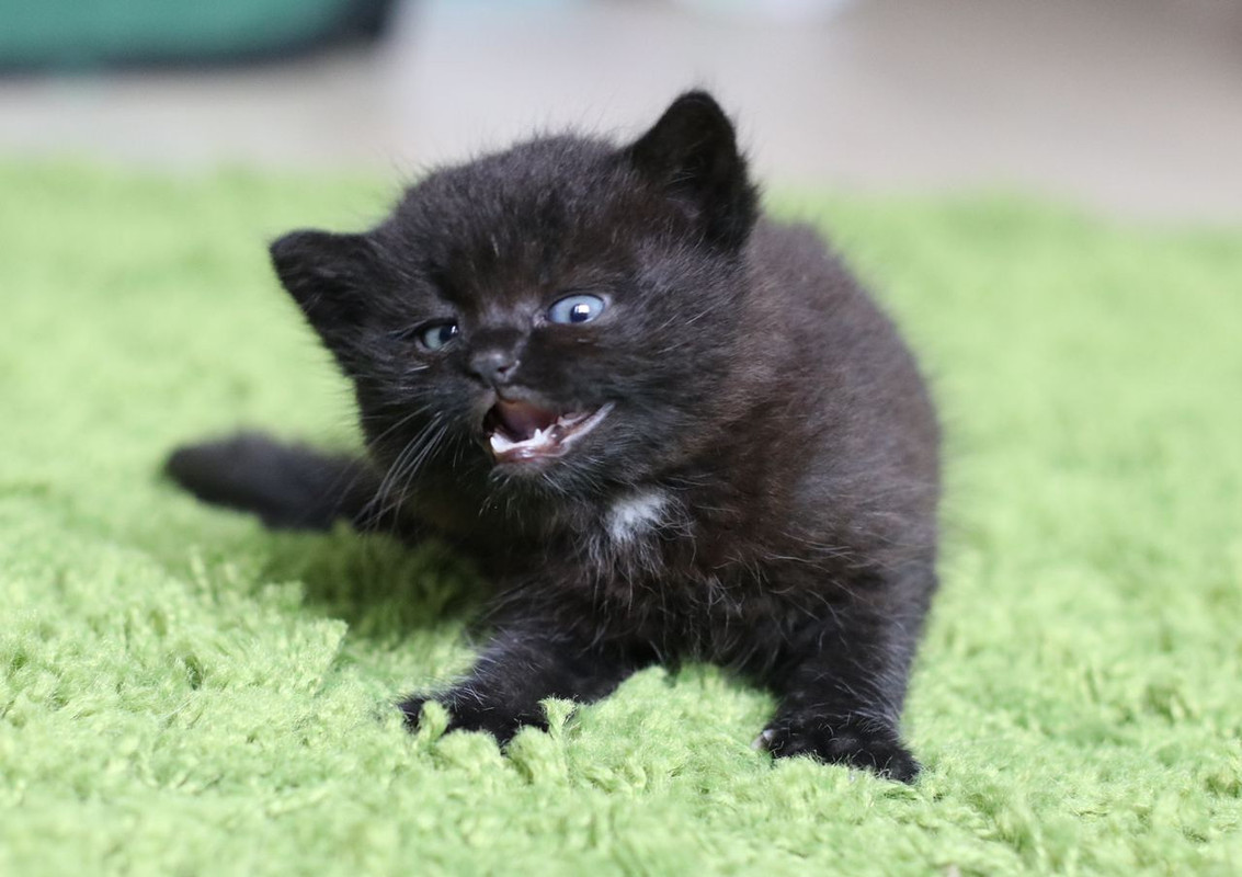 6808666D-75F2-43B2-9C30-493247191C8F