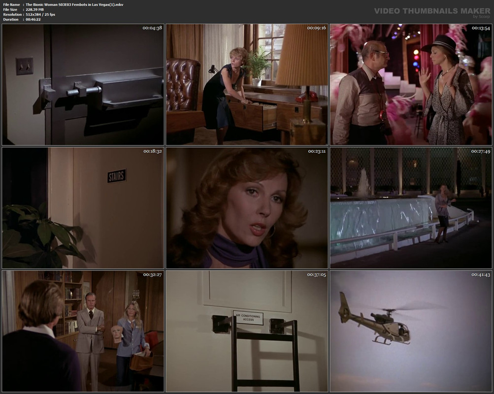 The Bionic Woman S03E03 Fembots in Las Vegas(1).mkv