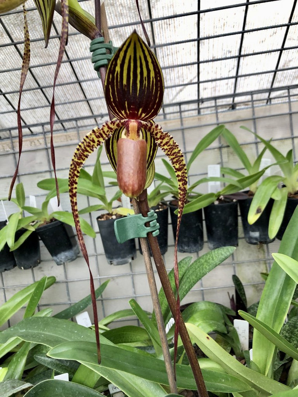 20221209_002002293_iOS