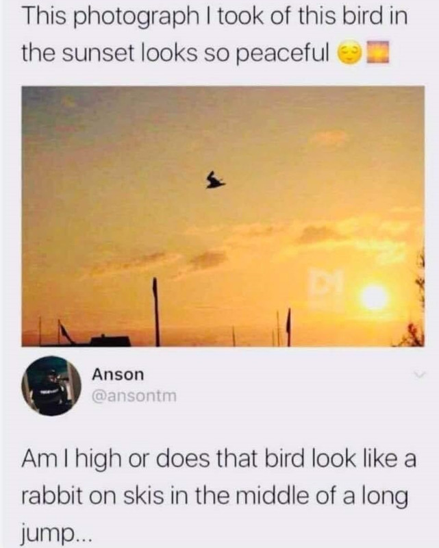 68787346-10219795999834504-1043251645007