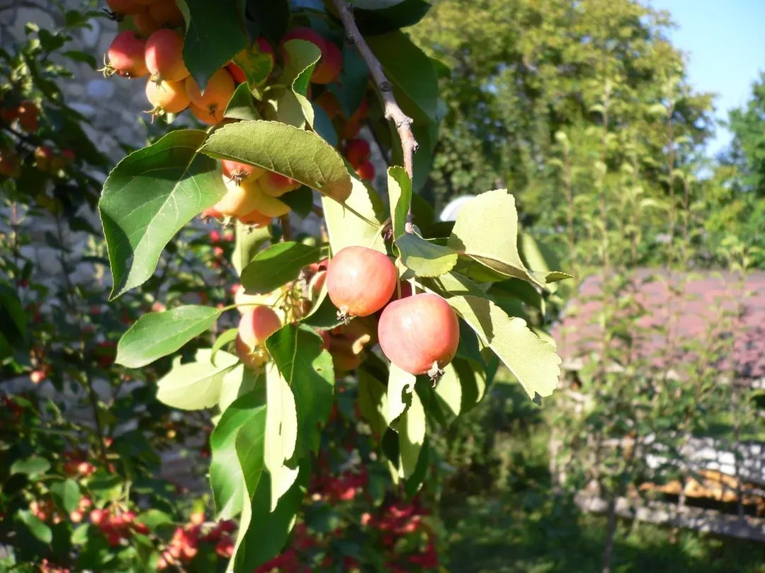 photo 28 2026 01 10 15 50 34