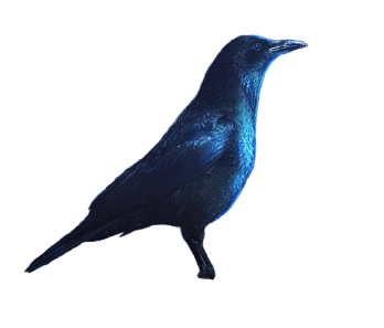 recommend-optimized (25)