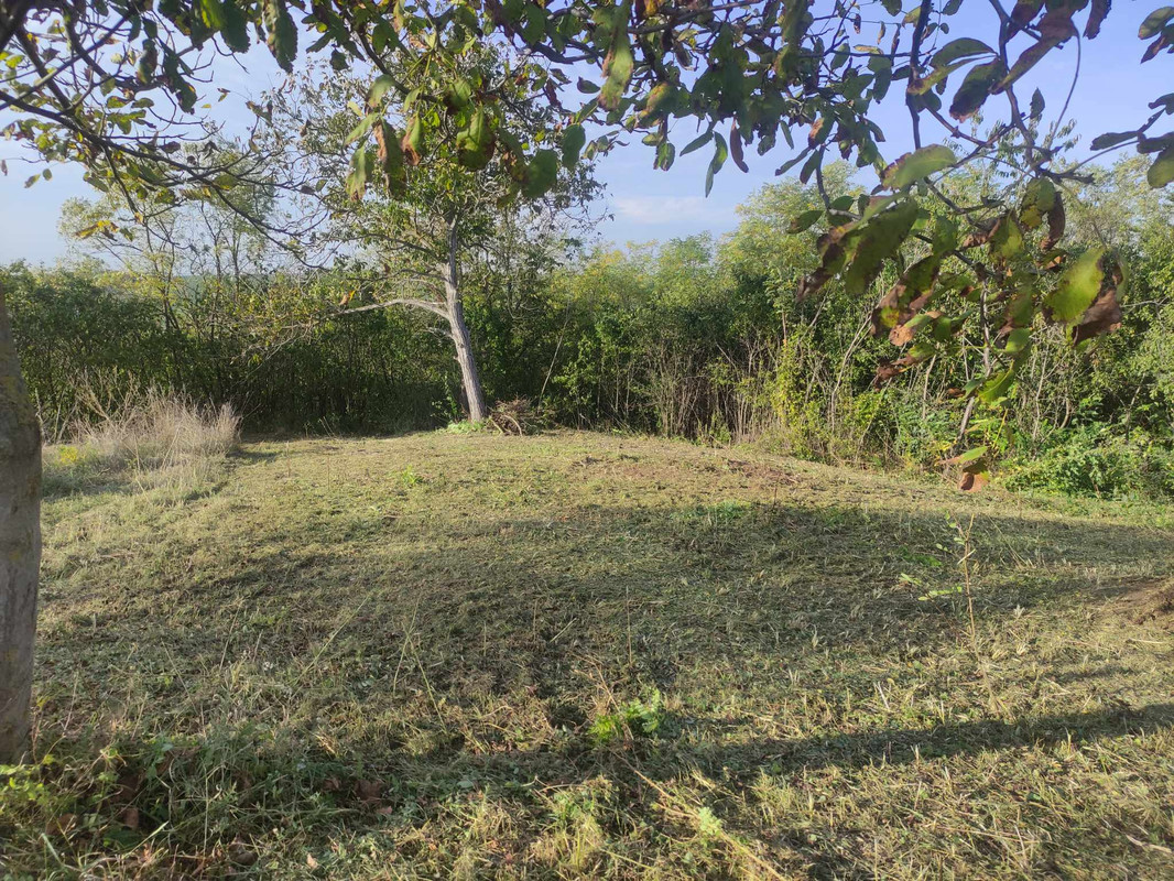 379667204_7711997558817020_3785219260001060166_n