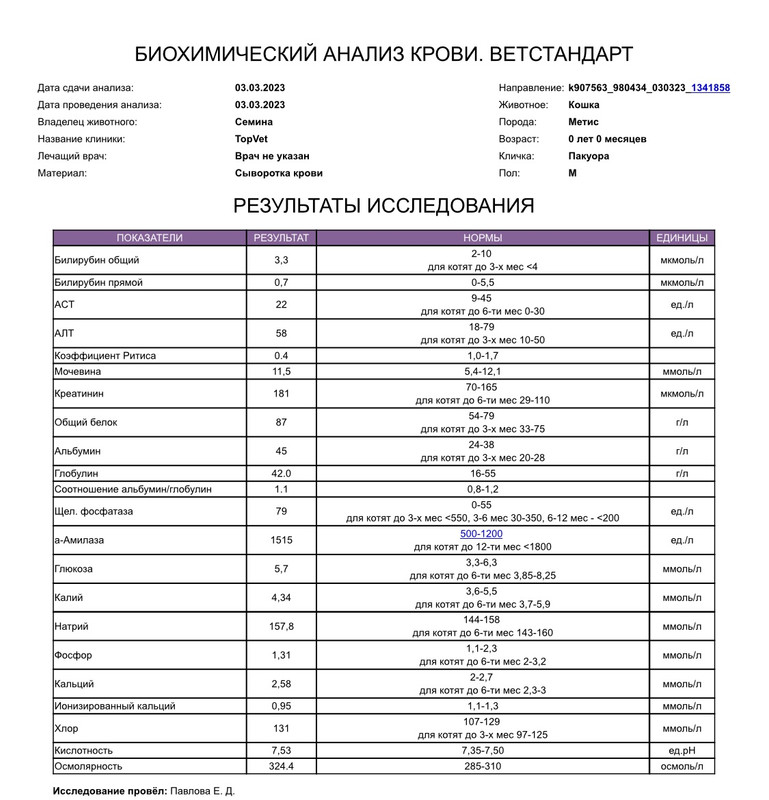 423960BB-F0AC-43DA-97EF-FEB7C9E6FB9B