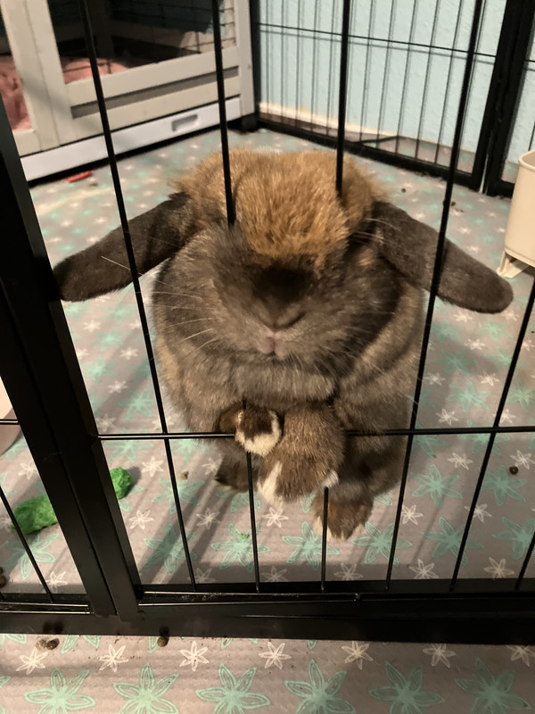 2299AB43-9F69-49E2-B8A3-63FFE9FC5294