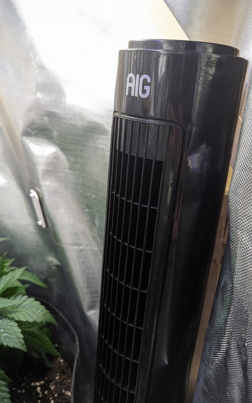 IMG_20240416_193805_(1200_x_1920_piksel)