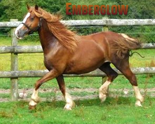 emberglow