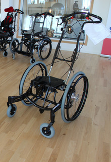 3йразмер сибас